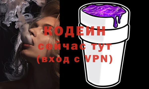 2c-b Ельня