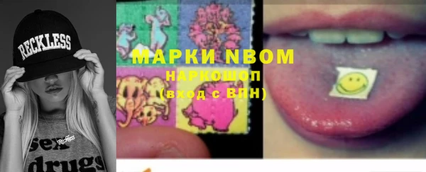 2c-b Ельня