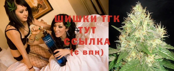 2c-b Ельня