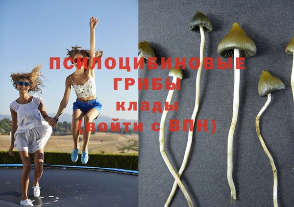 бутират Елизово