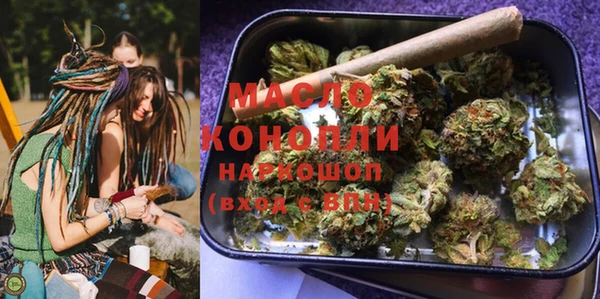 2c-b Ельня