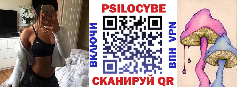 Купить  Кумертау  Галлюциногенные грибы Psilocybine cubensis 